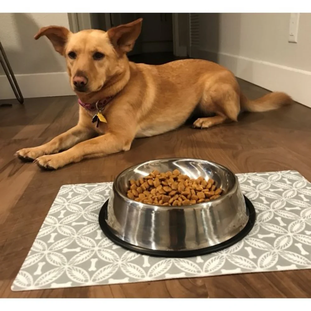 Drymate Pet Placemat, Dog Food Mat or Cat Food Mat -12